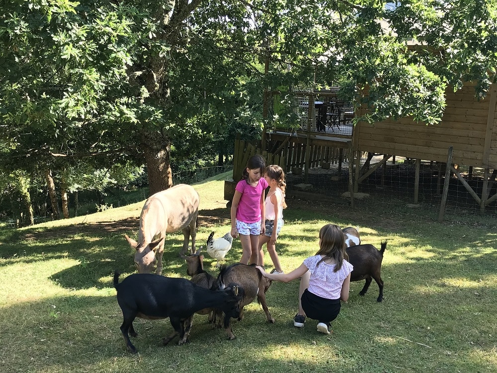 Photo Famille camping dordogne offrerie