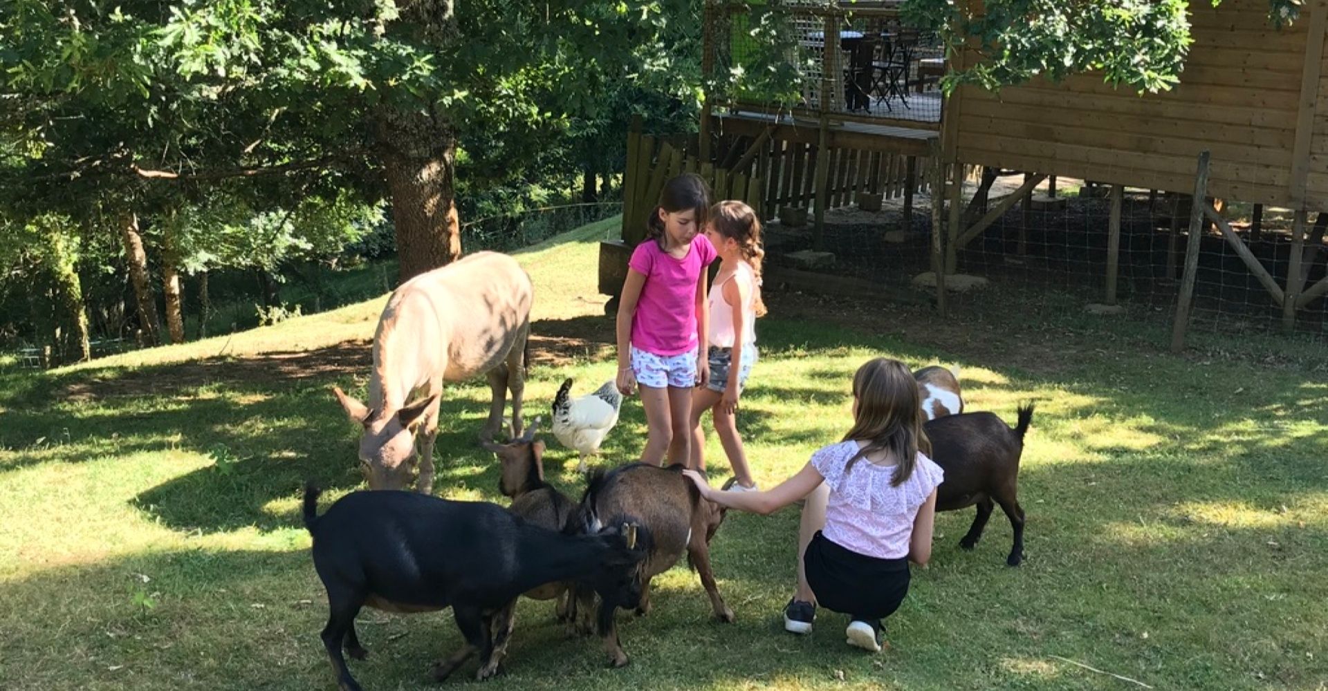 Cousinade camping dordogne perigord